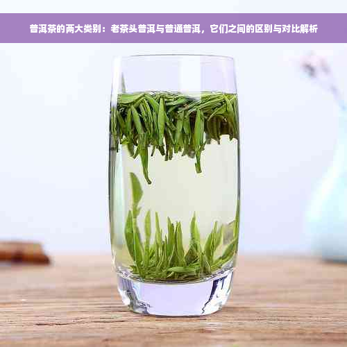 普洱茶的两大类别：老茶头普洱与普通普洱，它们之间的区别与对比解析