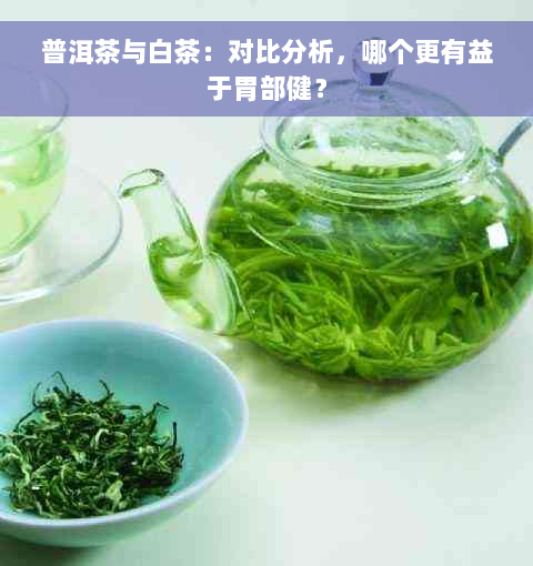 普洱茶与白茶：对比分析，哪个更有益于胃部健？