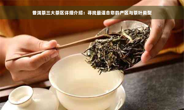 普洱茶三大茶区详细介绍：寻找最适合您的产区与茶叶类型