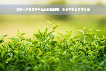 易武一品普洱茶各年份价格明细，专业评测与购买指南