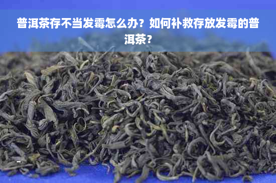 普洱茶存不当发霉怎么办？如何补救存放发霉的普洱茶？