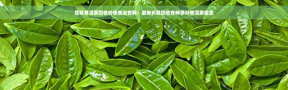 昆明普洱茶回收价格查询官网：最新长期回收各种茶叶普洱茶信息