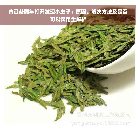 普洱茶隔年打开发现小虫子：原因、解决方法及是否可以饮用全解析