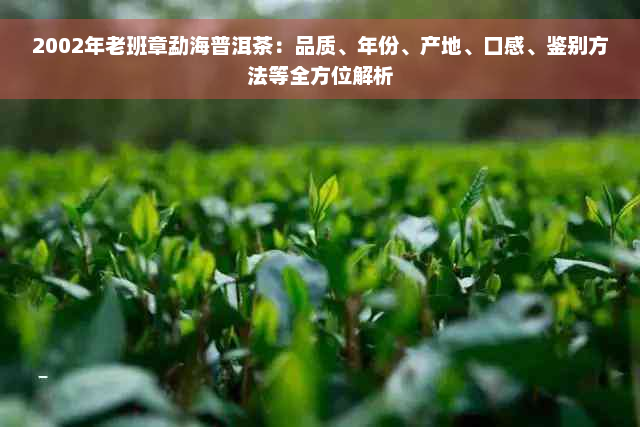 2002年老班章勐海普洱茶：品质、年份、产地、口感、鉴别方法等全方位解析