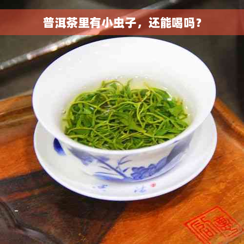 普洱茶里有小虫子，还能喝吗？