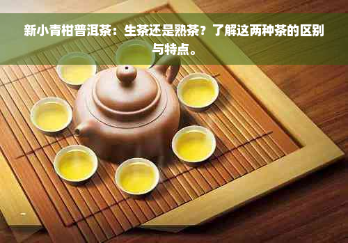 新小青柑普洱茶：生茶还是熟茶？了解这两种茶的区别与特点。