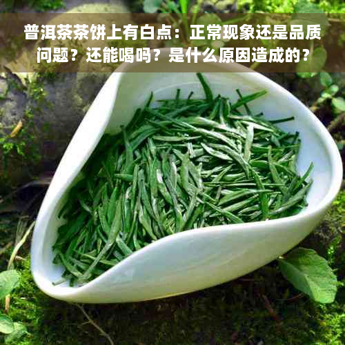 普洱茶茶饼上有白点：正常现象还是品质问题？还能喝吗？是什么原因造成的？