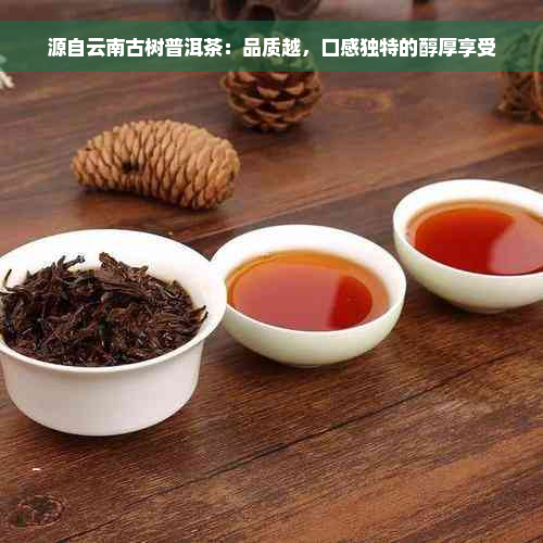 源自云南古树普洱茶：品质越，口感独特的醇厚享受