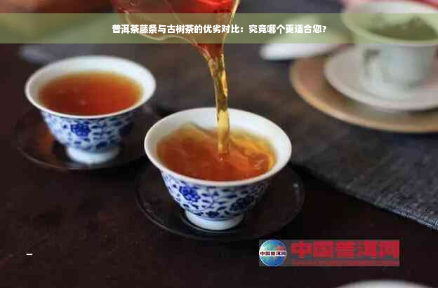 普洱茶藤条与古树茶的优劣对比：究竟哪个更适合您？