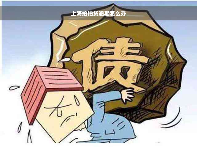 上海拍拍贷逾期怎么办