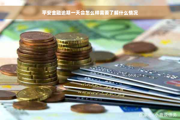 平安金融逾期一天会怎么样需要了解什么情况