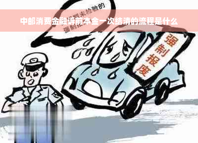 中邮消费金融诉前本金一次结清的流程是什么