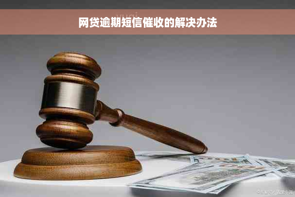 网贷逾期短信催收的解决办法