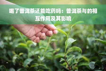 喝了普洱茶还能吃药吗：普洱茶与的相互作用及其影响