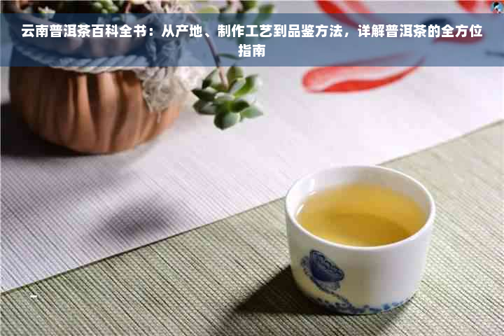 云南普洱茶百科全书：从产地、制作工艺到品鉴方法，详解普洱茶的全方位指南