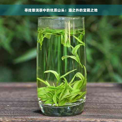 寻找普洱茶中的优质山头：灞之外的宝藏之地