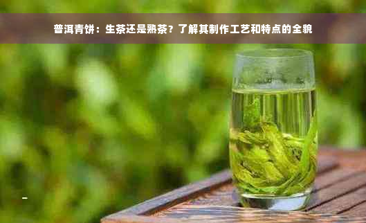 普洱青饼：生茶还是熟茶？了解其制作工艺和特点的全貌