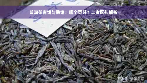 普洱茶青饼与熟饼：哪个更好？二者区别解析