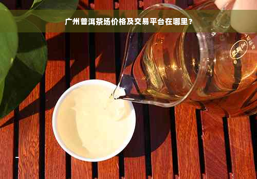 广州普洱茶场价格及交易平台在哪里？