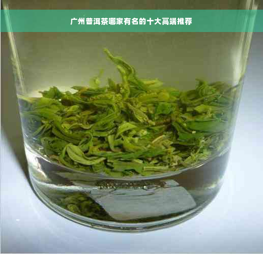 广州普洱茶哪家有名的十大高端推荐