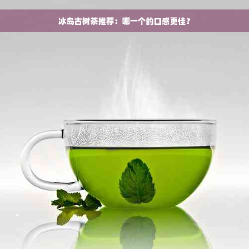 冰岛古树茶推荐：哪一个的口感更佳？