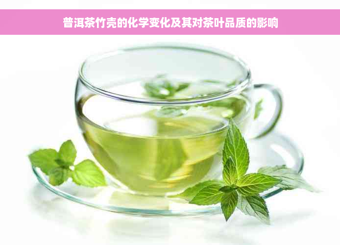 普洱茶竹壳的化学变化及其对茶叶品质的影响