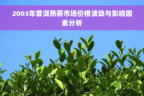 2003年普洱熟茶市场价格波动与影响因素分析