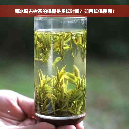 新冰岛古树茶的保期是多长时间？如何长保质期？