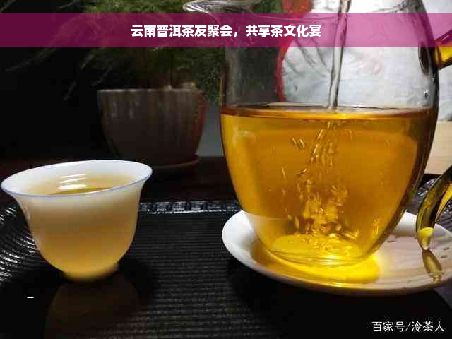 云南普洱茶友聚会，共享茶文化宴