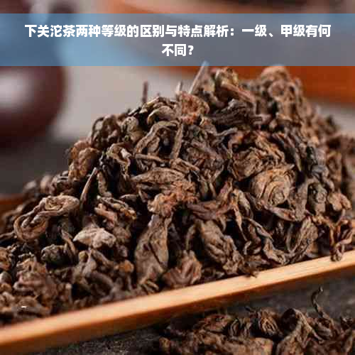 下关沱茶两种等级的区别与特点解析：一级、甲级有何不同？