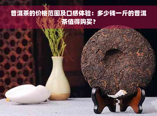 普洱茶的价格范围及口感体验：多少钱一斤的普洱茶值得购买？