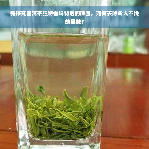 新探究普洱茶独特香味背后的原因，如何去除令人不悦的臭味？