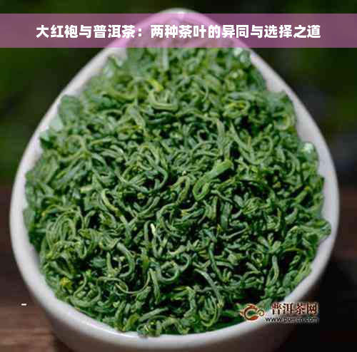 大红袍与普洱茶：两种茶叶的异同与选择之道