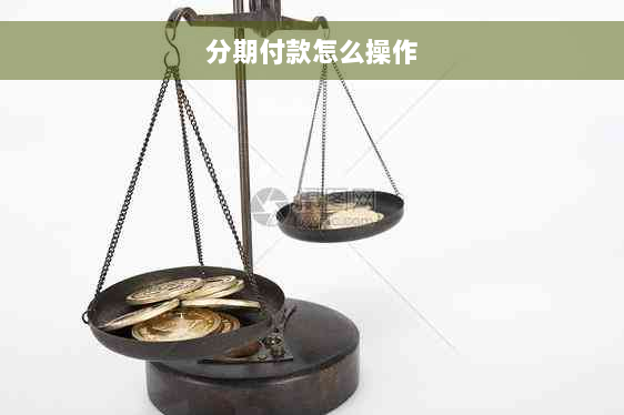 分期付款怎么操作