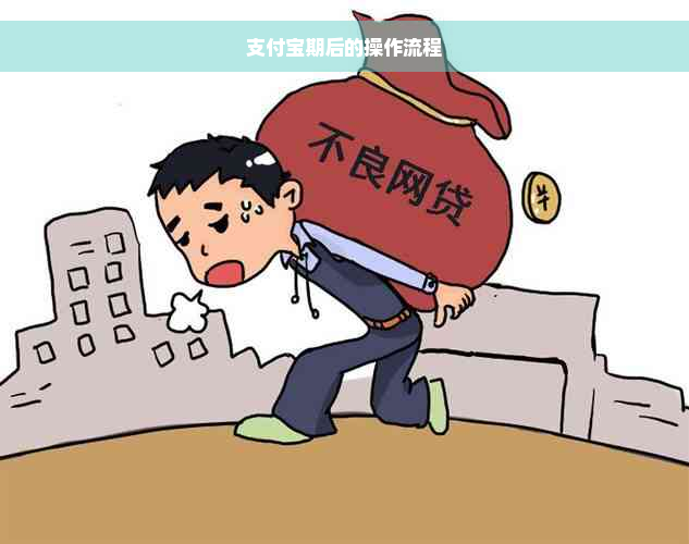 支付宝期后的操作流程