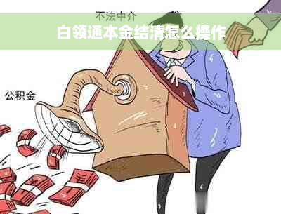 白领通本金结清怎么操作