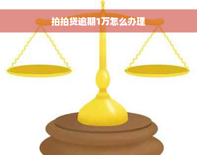 拍拍贷逾期1万怎么办理