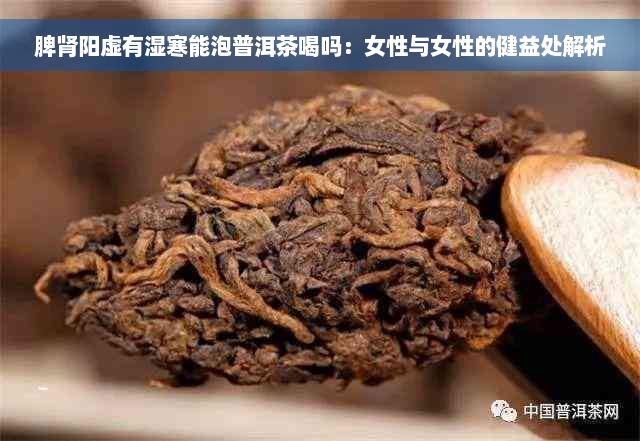 脾肾阳虚有湿寒能泡普洱茶喝吗：女性与女性的健益处解析