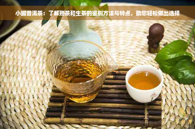 小罐普洱茶：了解熟茶和生茶的鉴别方法与特点，助您轻松做出选择