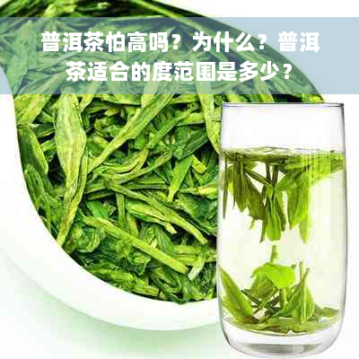 普洱茶怕高吗？为什么？普洱茶适合的度范围是多少？