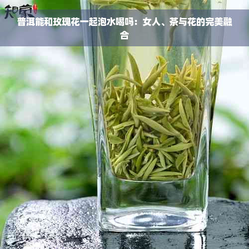 普洱能和玫瑰花一起泡水喝吗：女人、茶与花的完美融合