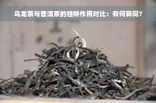 乌龙茶与普洱茶的独特作用对比：有何异同？