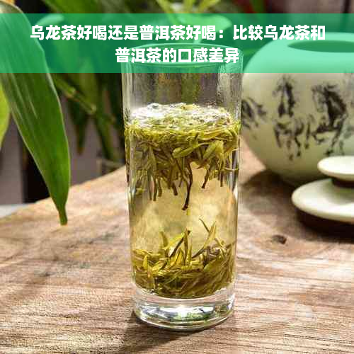 乌龙茶好喝还是普洱茶好喝：比较乌龙茶和普洱茶的口感差异