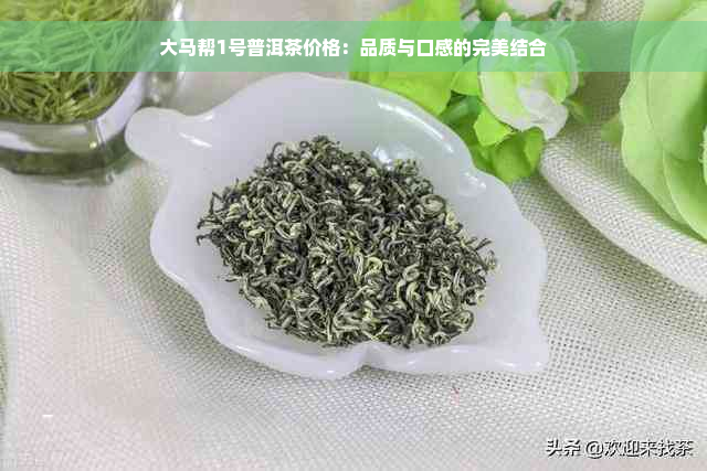 大马帮1号普洱茶价格：品质与口感的完美结合