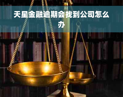 天星金融逾期会找到公司怎么办