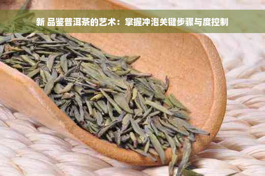 新 品鉴普洱茶的艺术：掌握冲泡关键步骤与度控制