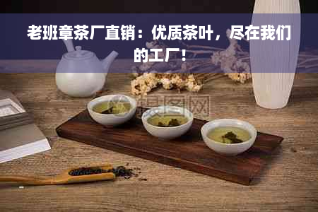 老班章茶厂直销：优质茶叶，尽在我们的工厂！