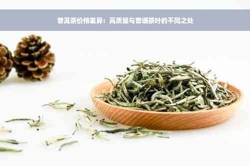 普洱茶价格差异：高质量与普通茶叶的不同之处