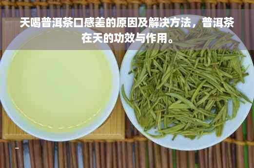 天喝普洱茶口感差的原因及解决方法，普洱茶在天的功效与作用。