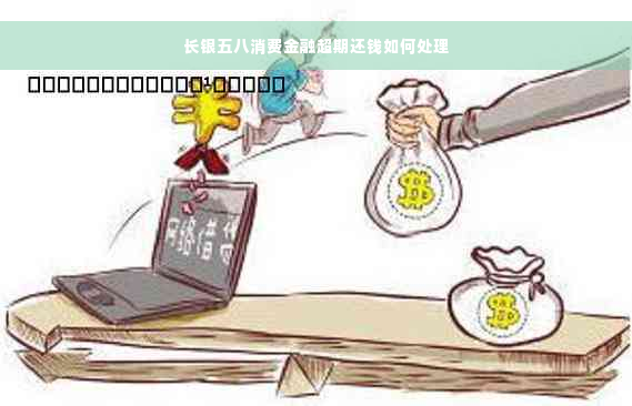 长银五八消费金融超期还钱如何处理